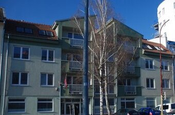 Administratívne priestory - 303,23 m2, Malacky, Záhorácka 17