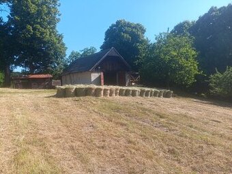 Predam balikovane seno