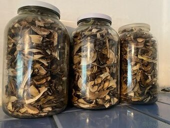 Sušené huby