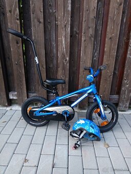 Specialized riprock 12"