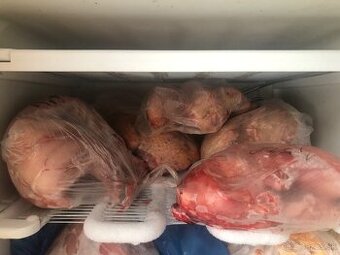 Predám domacé zajačie mäso. Domáci chov