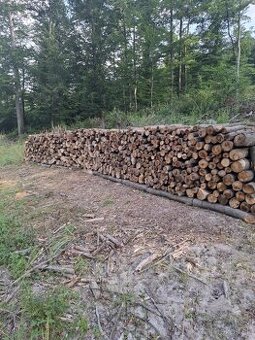 Palivové drevo Na predaj