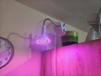 Lampa pre rast rastlin