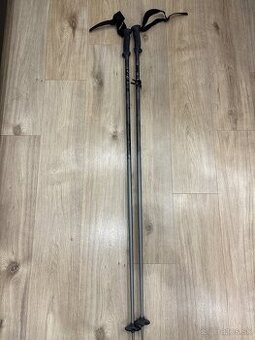 Salomon lyžiarske palice