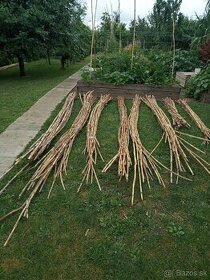 Palice - bambusové tyče vhodné na dekoráciu vytvorenie záste