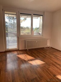 Byt 32 m² s loggiou na západ, Bôrik