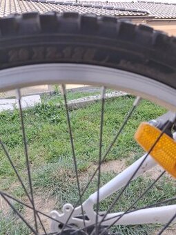 Dievčenský bicykel 20