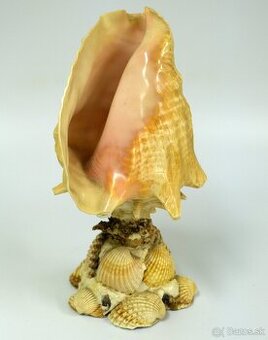 Socha ALEBO lampa z mušle