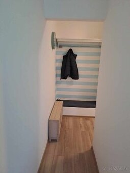 Prenájom 1 izbovy byt - 1