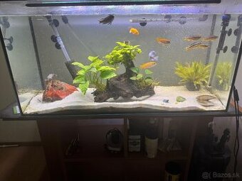 Predam 200 litrove akvarium