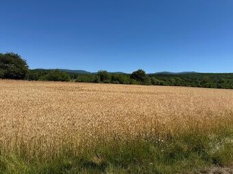 EXKLUZÍVNE – PREDAJ – POZEMOK – orná pôda – 3843 m2