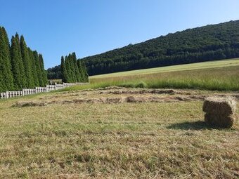 Predám seno v malých balíkoch