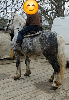 Predam Grošaka z papiermi