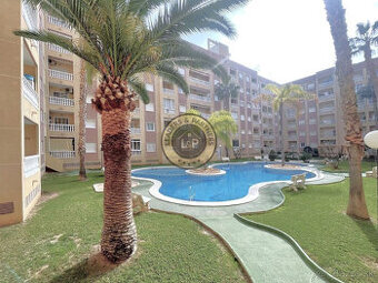 Apartmán 3+kk s bazénom Torrevieja, Španielsko
