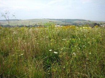 Darujem zeminu za odvoz (Pucov)