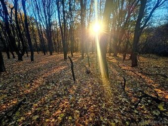 Pozemok na Prenčove - 1