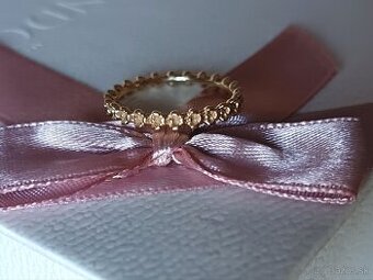Pandora gold fialky v54