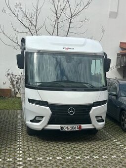 Frankia