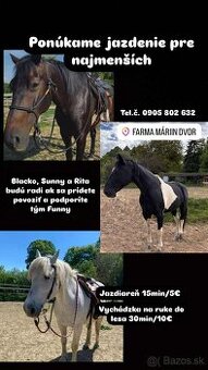 Vozenie na koníkoch