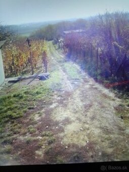 Ekologická BIOvinica bez postrekov+elektrina,chata,pivnica - 1