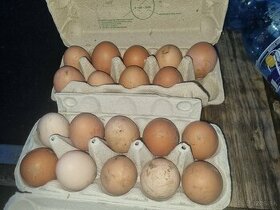Domace vajcia - 1