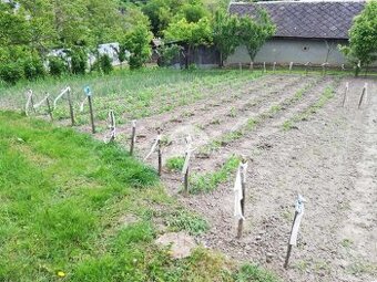 Predám pozemok - Svodín