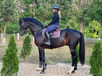 Cornet obolensky  & Diamant De semilly