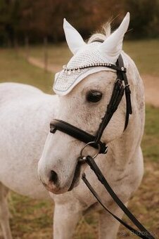 Slovenský športový pony