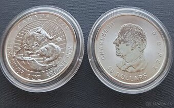 Kanada 2oz Medved a Byvol 2025 investicne striebro