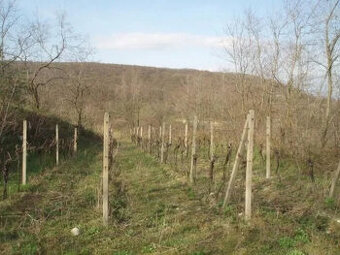 Investičný pozemok Krasňany BA III.