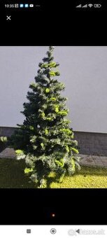 Vianočný stromček hustý vyška 220vm