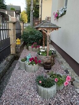 Ponúkam strihanie ovocných stromov a okrasných drevín