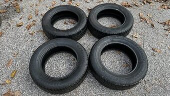 100.	185/65 R15 - zimne