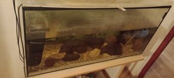 Akvárium +prislusenstvo