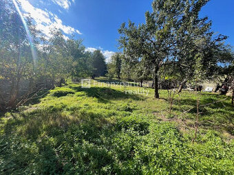 Popcornový pozemok so starším RD  ako záhradné sady (F679-14