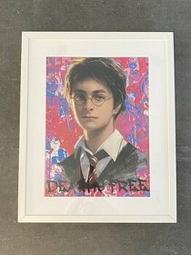Pop Art grafika Harry Potter - 1