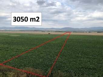 Piešťany – 3.050 m2 ORNÁ PÔDA v podiele 1/1 – Predaj - 1