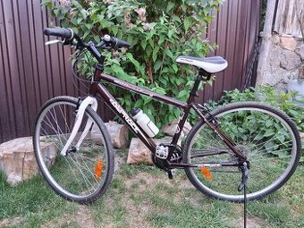 Cestny bicykel