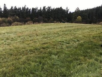 Predám pozemok - Kežmarok