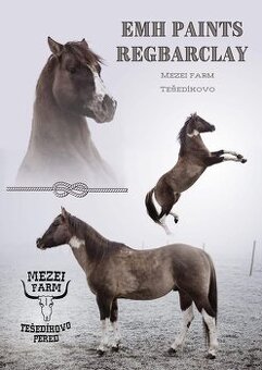 Apha žrebec pripuštanie