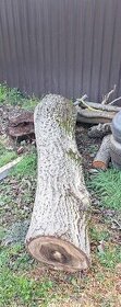 Orechove drevo