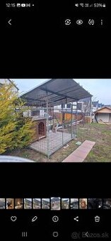 Voliéra pre psa