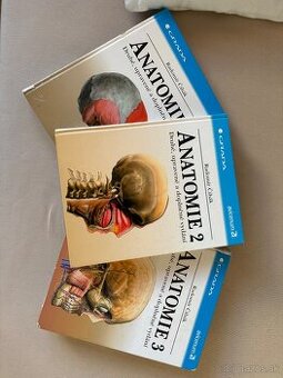 Anatómia Čihák 1,2,3
