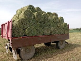 Lucerka