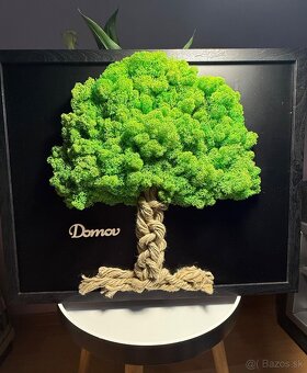 Machový 3D obraz Strom života