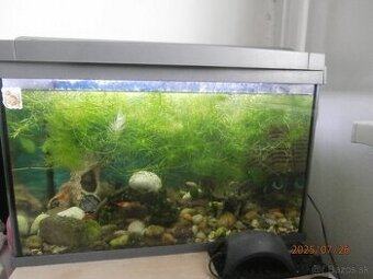Predám 60l.akvárium