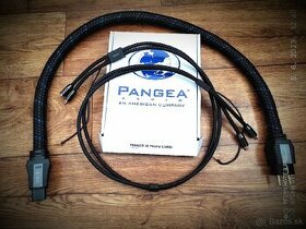 KÁBEL PANGEA AUDIO