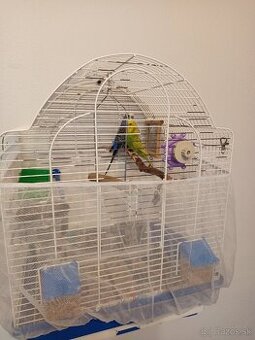 Predám Andulky s klietkou a vybavením