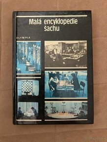 Malá encyklopedie šachu - 1
