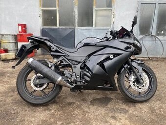 Kawasaki Ninja 250 2010